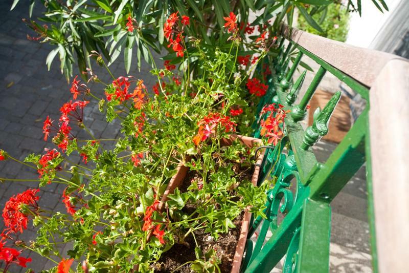 Pape Punat Apartmani I Sobe エクステリア 写真